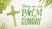 Hallmark Ecards Typography GIF by Hallmark Gold Crown