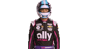 Alex Bowman Nascar Sticker by AllyRacing