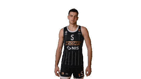 Kkpartizan Sticker by sportmts