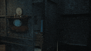 Mdentertainment GIF by MD Pictures