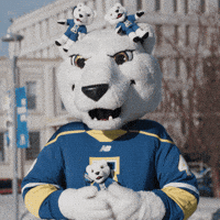 Nook Uaf GIF by University of Alaska Fairbanks