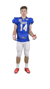 Football Tigers Sticker by ACSL - Austrian College Sports League