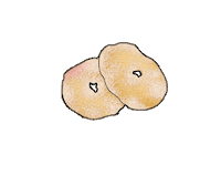 Malaysia Kuih Sticker by Nita Cosmetics