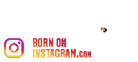 Ayushinfluencer Sticker by BORN ON INSTAGRAM