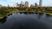twin cities minnesota GIF