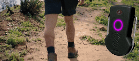 giphyupload GIF
