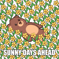 Happy Teddy Bear Sticker by BEARISH