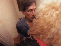 twisted sister GIF
