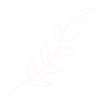 naomicreativestudio plants minimalist plantas naomicreativestudio Sticker