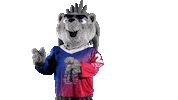 Sport Mascot Sticker by FinHockey