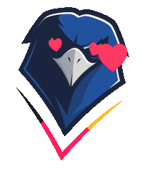 American Football Nfl Sticker by German Sea Hawkers