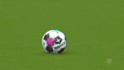 Sankt Pauli Football GIF by FC St. Pauli