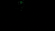 Fnoob Tv GIF by Fnoob  Techno
