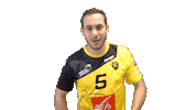 Vhb Sticker by Villers Handball