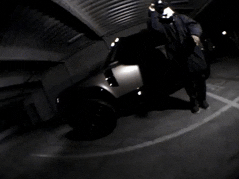 Wolf Bass GIF by IDK