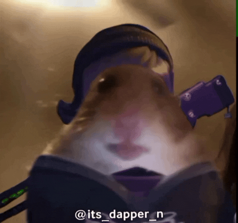 Its_dapper_n murder drones hamster meme murderdrones murder drone GIF
