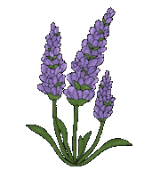 Flower Relax Sticker by By Sauts // Alex Sautter (formerly Pretty Whiskey)