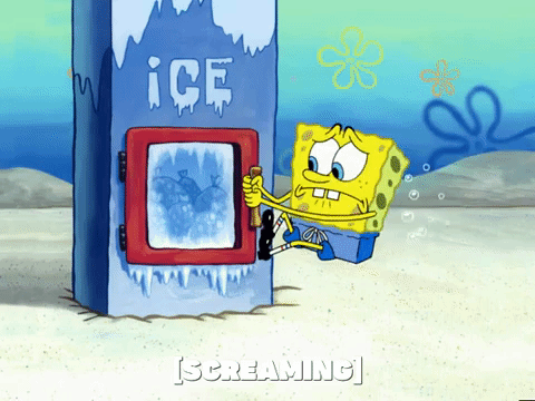 season 4 GIF by SpongeBob SquarePants