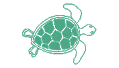 swim turtle Sticker by BBLittles