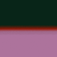 Florenttd animation flower spring plant GIF