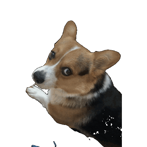 Dog News Sticker