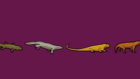 budakerkan giphyupload GIF