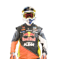Dakar Sticker by Red Bull