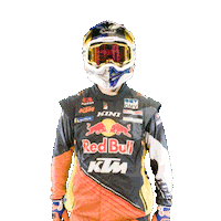 Dakar Sticker by Red Bull