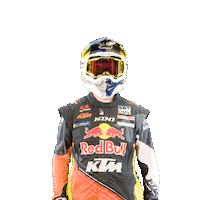 Dakar Sticker by Red Bull