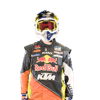 Dakar Sticker by Red Bull