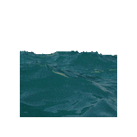 Shark Attack Swimming Sticker