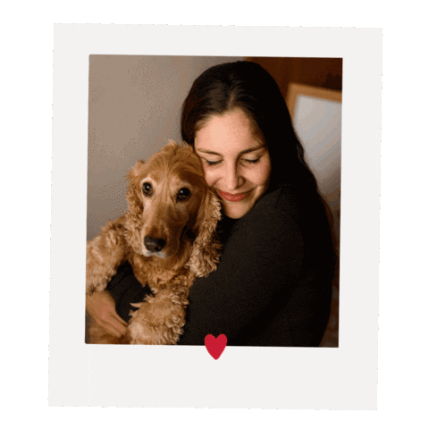 enyakyokaiphoto amor mascota cocker enya Sticker