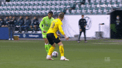 Football Sport GIF by VfL Wolfsburg