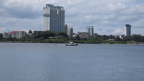 AsiaOne giphyupload asiaone GIF