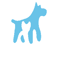 Cat Dogs Sticker by Aminopets