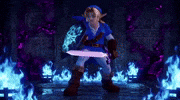 The Legend Of Zelda Link GIF