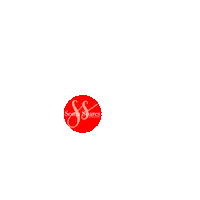 Sonjasoares sonjasoares justsoldspin Sticker