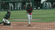 Stanford Cardinals Sport GIF by Stanford Athletics