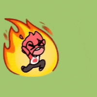 Mad Jay GIF