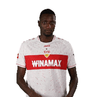 Serhou Guirassy Seriously Sticker by VfB Stuttgart