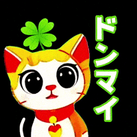 Fight Cat GIF
