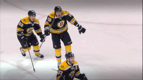 boston bruins GIF