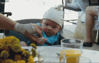 zach galifianakis laughing GIF