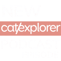 Podcast Listen Now Sticker by Catexplorer