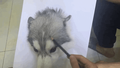 xcbcvccxscxcv giphyupload GIF