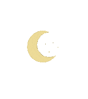 Night Moon Sticker