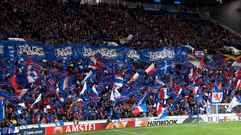 fans GIF by Rangers Football Club