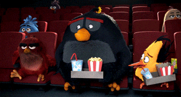 bird popcorn GIF by Angry Birds