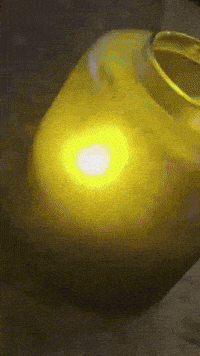 Chinese Restaurant Fashion GIF by Casol