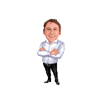 Chicoveiculos Sticker by Chico Automóveis